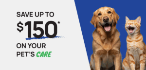 011326-Email-Dental-Campaign-T3_150off_Dog_Cat_HERO